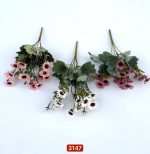 بوته مینا ۱۵ گل (پک12 تایی)