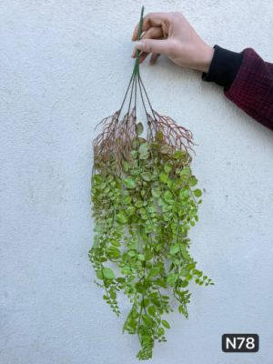 آویز برگ ریحونی ریشه دار 5 بازو