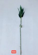 شاخه بامبو وارداتی