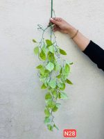 آویز لیراتا