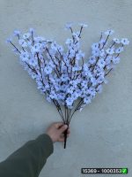 بوته شکوفه طبیعی