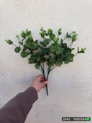 بوته اکالیپتوس سبز