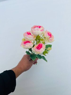 بوته پیونی (پک ۱۲تایی)