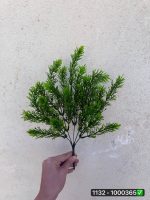 بوته شویدی خرج کار ۵ بازو