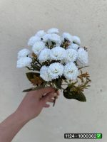 بوته داوودی مینیاتوری ۵ بازو