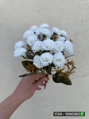 بوته داوودی مینیاتوری ۵ بازو