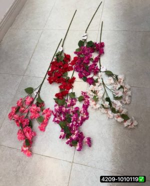 شکوفه کاغذی وارداتی