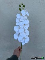 شاخه ارکیده لمسی سفید