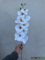 شاخه ارکیده لمسی