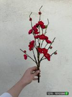 شاخه شکوفه ژاپنی