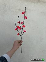 شاخه شکوفه ژاپنی کم حجم