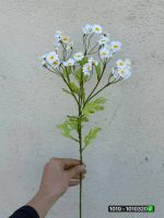 شاخه بابونه ریز 6 بازو