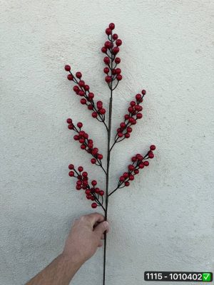 شاخه ناندینا ۶ بازو