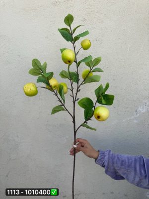 شاخه سیب برگ دار ۴ بازو