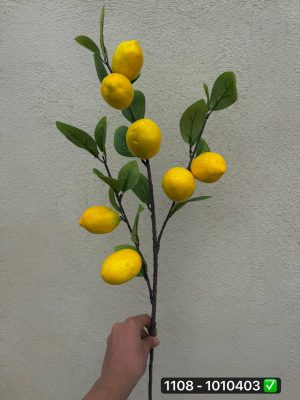 شاخه لیمو ۷تایی خارجی