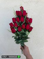 بوته غنچه مخمل ۲۴ گل