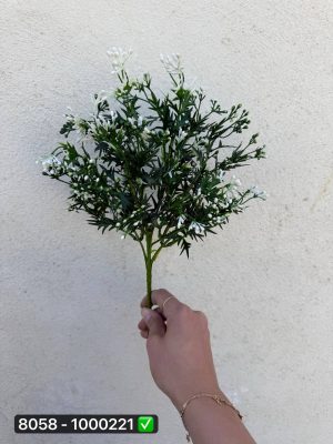 بوته شکوفه کبریتی تیغ دار