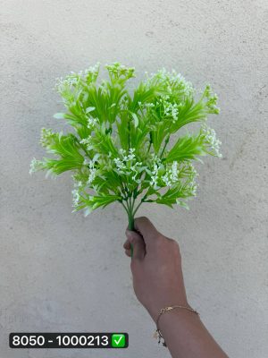 بوته شکوفه سرخس ۶بازو