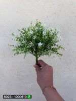 بوته شویدی شکوفه مینا۷بازو