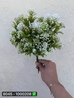 بوته کبریتی سرخس