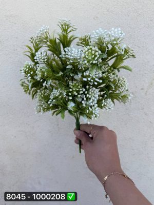 بوته کبریتی سرخس