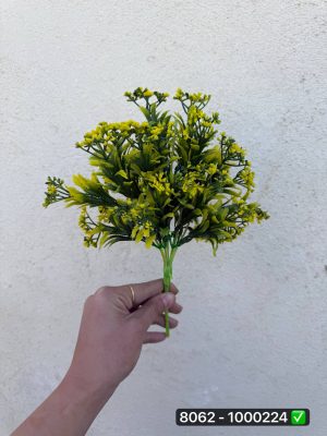 بوته شکوفه قلبی سرخس ۶ بازو