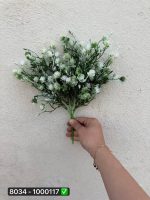 بوته شکوفه قاصدکی