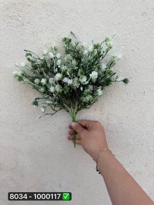 بوته شکوفه قاصدکی