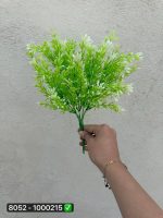 بوته ی شویدی ترخون سبز و سفید۶بازو