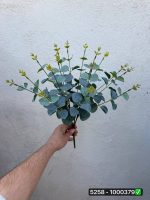 بوته اکالیپتوس ۱۶ بازو لمسی