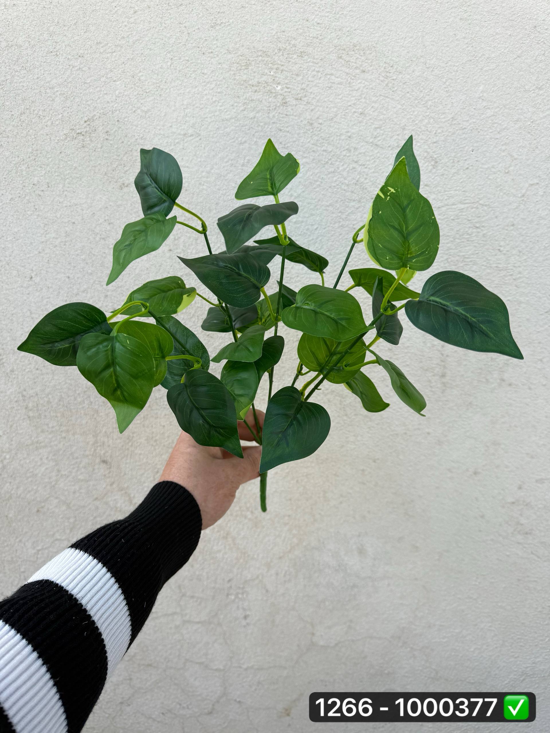 بوته باکسی ۵ بازو بلند - Image 2