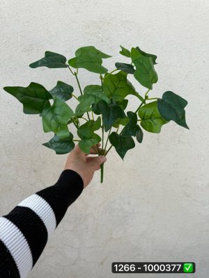 بوته باکسی ۵ بازو بلند