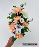 بوته کوکب و لیلیوم قاصدک دار(پک ۶تایی)