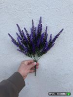 بوته دم روباهی ۷ بازو