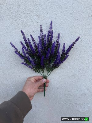 بوته دم روباهی ۷ بازو