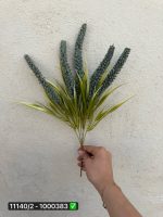 گل بوته ورونیکا