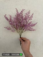 بوته سرخس پفکی