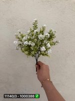 گل بوته خرج کارنوک برفی