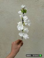 شاخه شکوفه به تک شاخه کوتاه