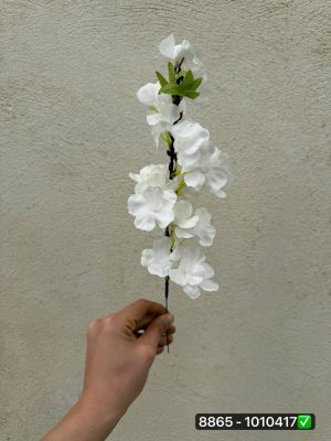 شاخه شکوفه به تک شاخه کوتاه