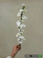 شاخه شکوفه به تک شاخه بلند