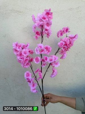 شکوفه هلو وارادتی