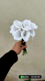 شیپوری ژله ای (دسته 12تایی )