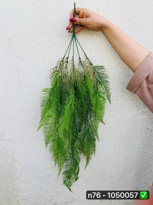 آویز برگ کاج ریشه دار