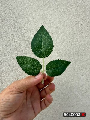 برگ ۳ پر ایستاده سایز ۲ (پک ۲۵۰عددی)