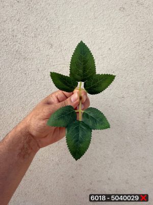 برگ ۶پر (پک ۲۰۰عددی)