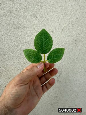 برگ ۳ پر ایستاده سایز۱ (پک ۲۵۰عددی)