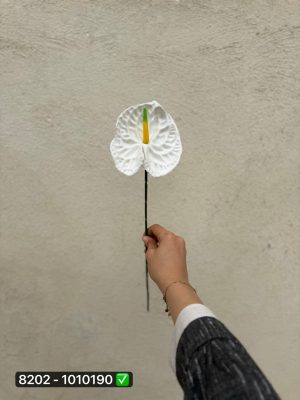 شاخه آنتریوم