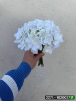 دسته هورتانسیا ۹ شاخه