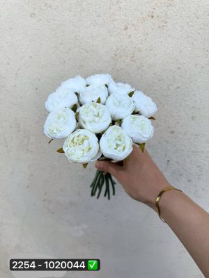 دسته آنامان ۷ شاخه